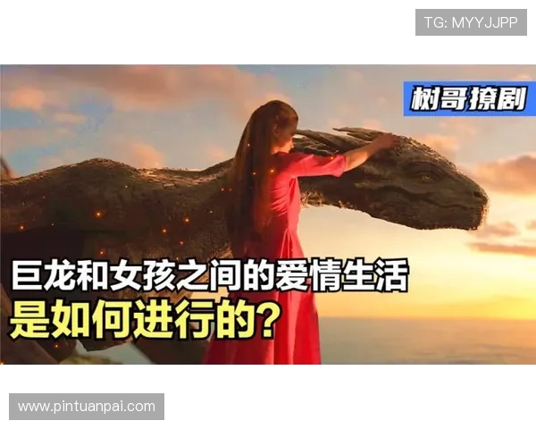 围绕战妻展现乱世情仇与坚韧女性命运的动人传奇故事的壮丽篇章