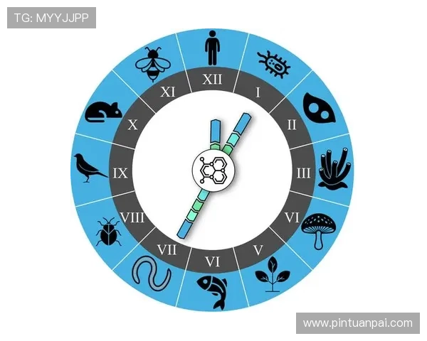 生死倒数hours:当生命的时钟只剩下最后几个小时